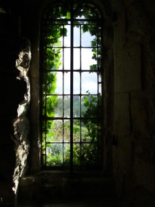 window