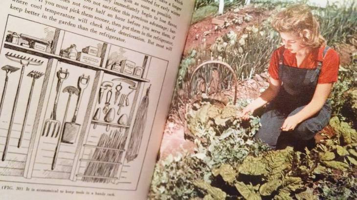 victory garden book for historygal