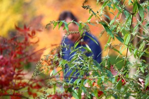 Image: Amanda Stiver